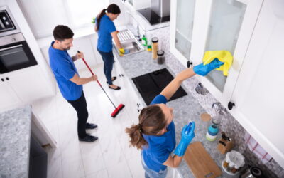 What does a general clean include?