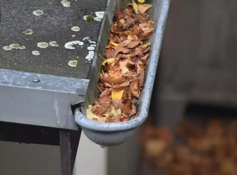 Warning Signs Your Gutters Need Cleaning: Protect Your Home Now