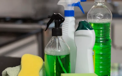 Best Eco-Friendly Maid Service in Austin: Clean Home, Green World