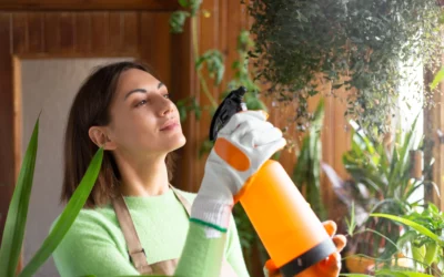 DIY vs. Professional House Cleaning in Centennial, CO