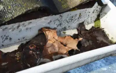 Causes of Clogged Gutters Every Homeowner Should Know
