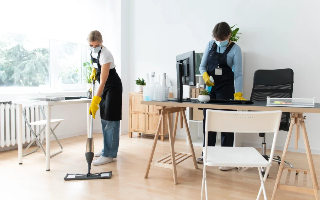 What Can a Professional Cleaner Do in 4 Hours?