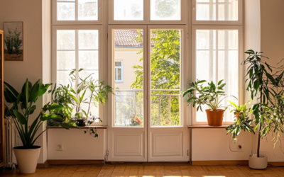 Summer Cleaning Hacks for Cool Colorado Apartments