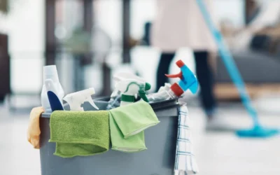 Premium House Cleaning Services for Large Homes in Castle Rock, CO