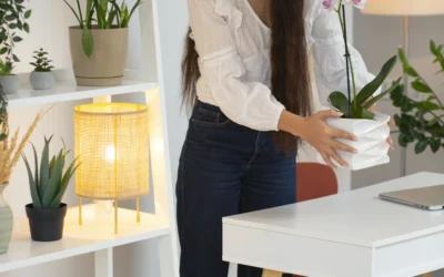 Maid Service Near Me: A Smart Choice for Busy Professionals