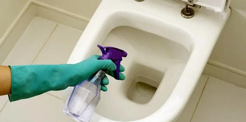 How to clean rust off a toilet bowl