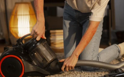Get the Best Value: Apartment Carpet Cleaning Cost Explained