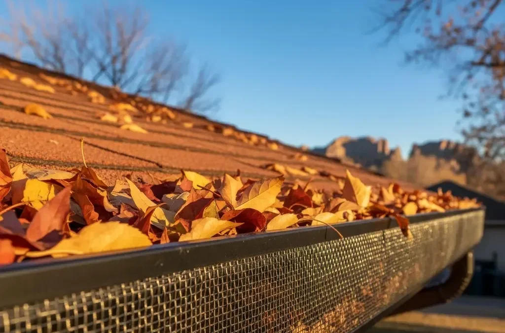 What Are the Best Gutter Guards? CR Maids’  Guide