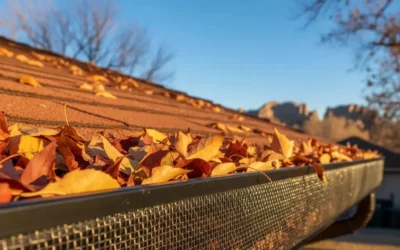 What Are the Best Gutter Guards? CR Maids’ Guide