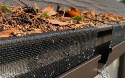 Do gutter guards really work? CR Maids Insights