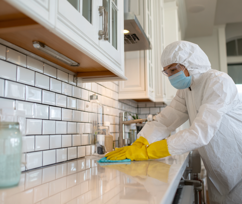 Professional and Reliable Apartment Cleaning in Castle Pines